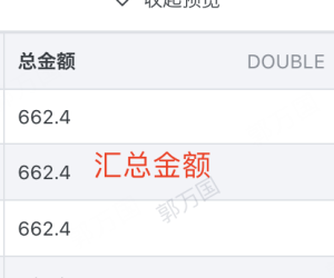 借方金额与总金额一致但是相减后结果为-0，是什么原因？